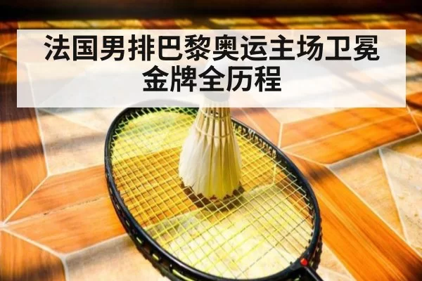 法国男排巴黎奥运主场卫冕金牌全历程